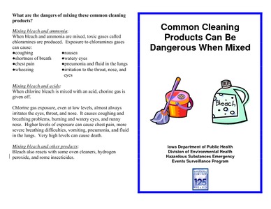 Dangers of Mixing Common Cleaning Products / Resources and Information /  Cleaning Laboratory / Our Work / TURI - TURI - Toxics Use Reduction  Institute